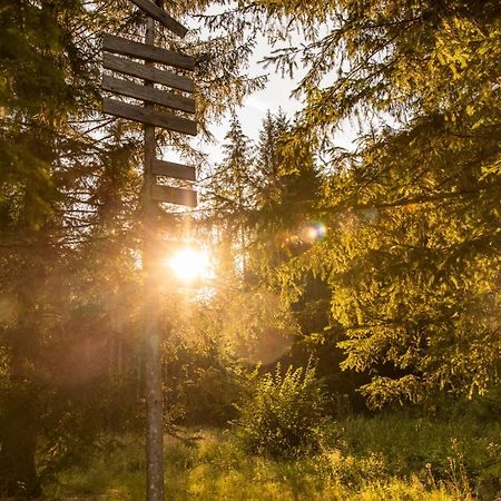 Marko'S Eco Cabin Bled Eksteriør billede